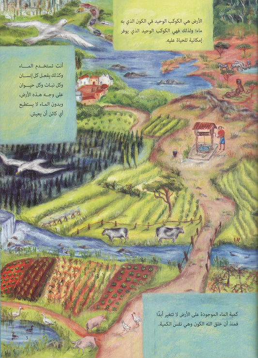 بئر واحدة : قصة الماء علي كوكب الأرض - تأليف: روتشيل شتراوس - رسوم: روزماري وودز