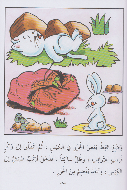 حكاية كل يوم