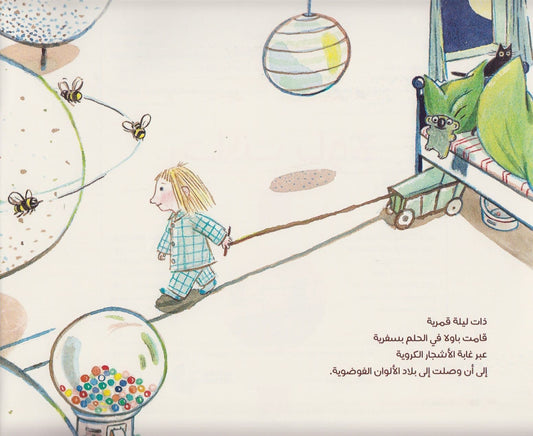 رحلات باولا - تأليف: باول مار - رسوم: إيفا موغنتالر