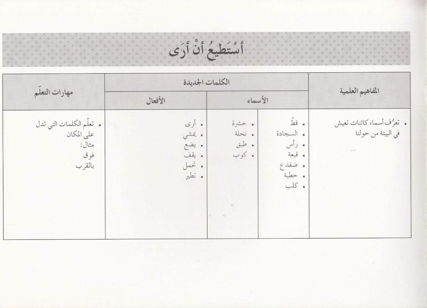 تعلم القراءة : أستطيع أن أري