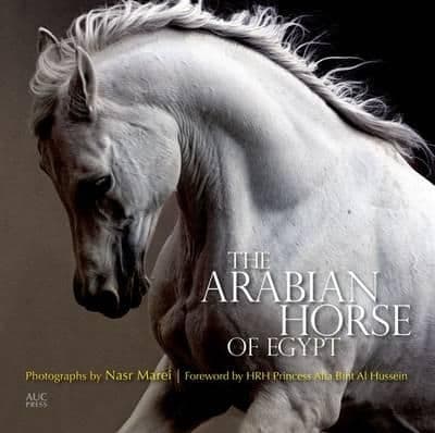 The Arabian Horse of Egypt By. Cynthia Culbertson