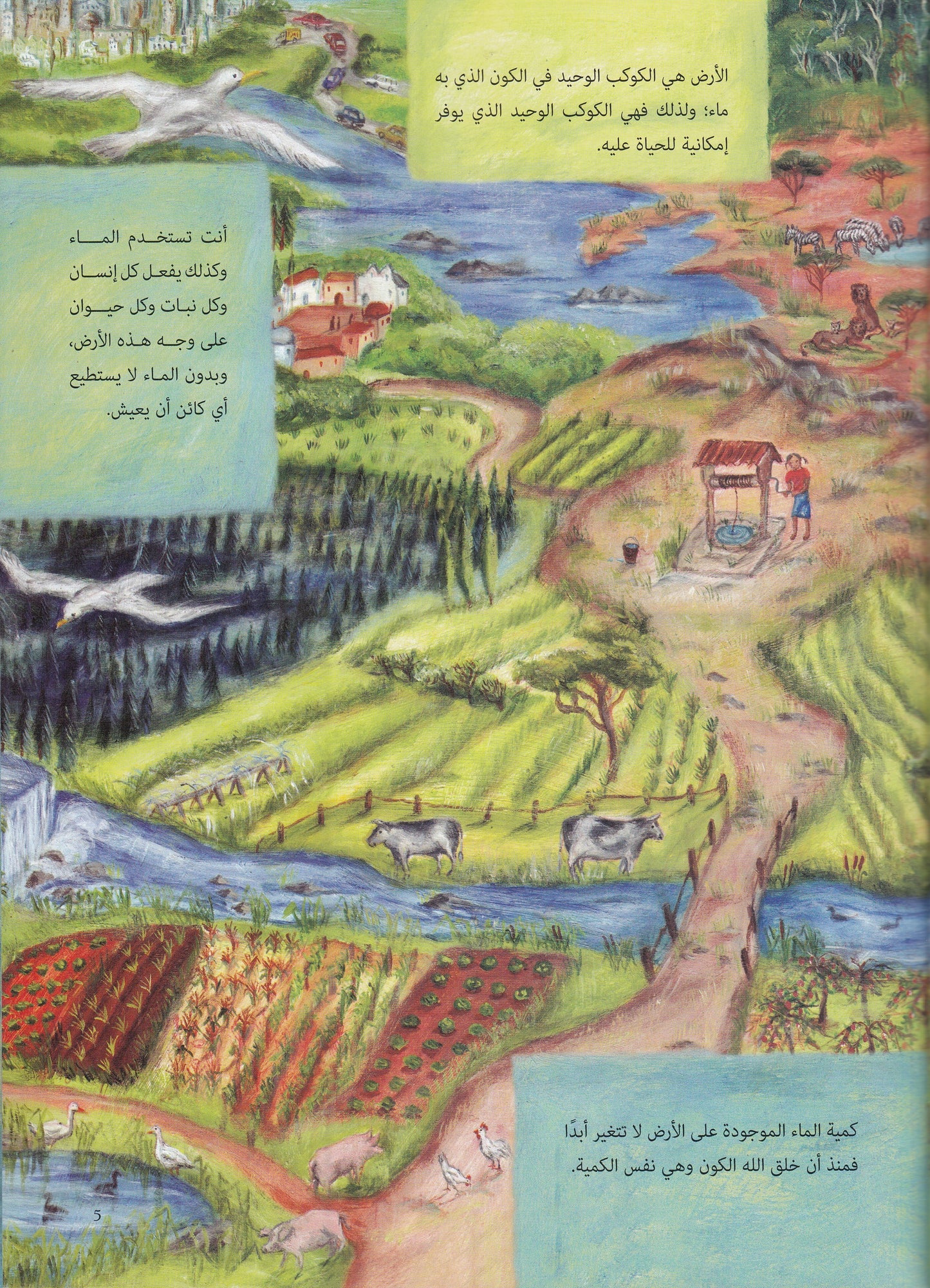 بئر واحدة : قصة الماء علي كوكب الأرض - تأليف: روتشيل شتراوس - رسوم: روزماري وودز