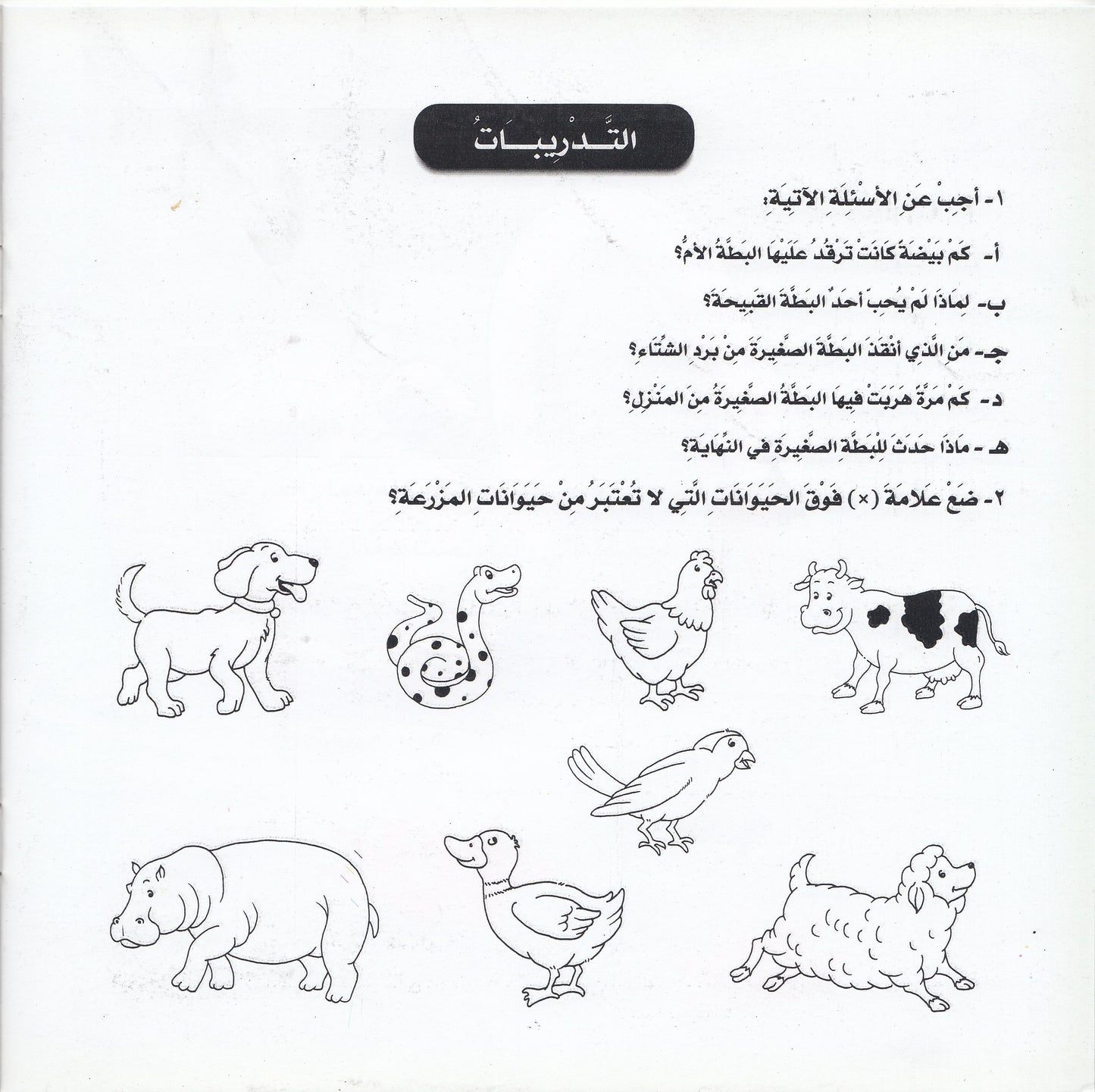 روائع التراث العالمي للأطفال : البطة القبيحة - إعداد: جوون شينج