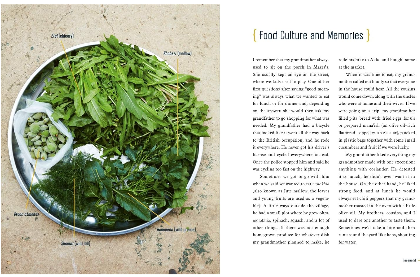 Jerusalem Food: Bold Flavors From The Middle East And Beyond - By: Nidal Kersh